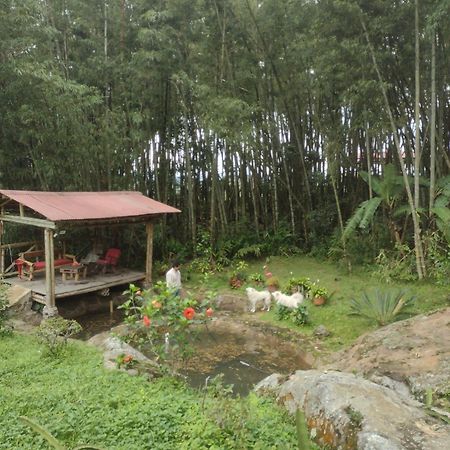 Finca Exclusividad Familiar O Grupo De Amigos Capacidad Hasta 12 Personas Calles En Placa Huella, Caminata Ecologica Alban  외부 사진