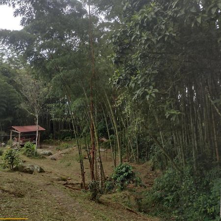 Finca Exclusividad Familiar O Grupo De Amigos Capacidad Hasta 12 Personas Calles En Placa Huella, Caminata Ecologica Alban  외부 사진