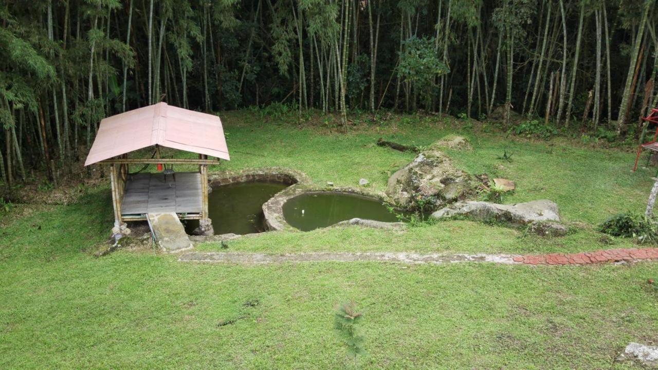 Finca Exclusividad Familiar O Grupo De Amigos Capacidad Hasta 12 Personas Calles En Placa Huella, Caminata Ecologica Alban  외부 사진