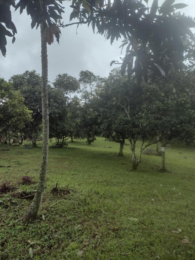 Finca Exclusividad Familiar O Grupo De Amigos Capacidad Hasta 12 Personas Calles En Placa Huella, Caminata Ecologica Alban  외부 사진
