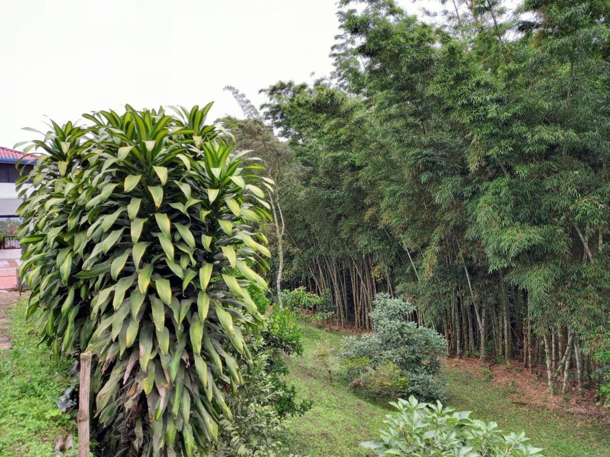 Finca Exclusividad Familiar O Grupo De Amigos Capacidad Hasta 12 Personas Calles En Placa Huella, Caminata Ecologica Alban  외부 사진