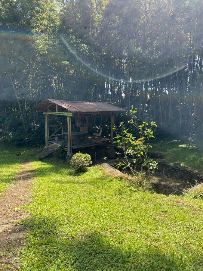 Finca Exclusividad Familiar O Grupo De Amigos Capacidad Hasta 12 Personas Calles En Placa Huella, Caminata Ecologica Alban  외부 사진