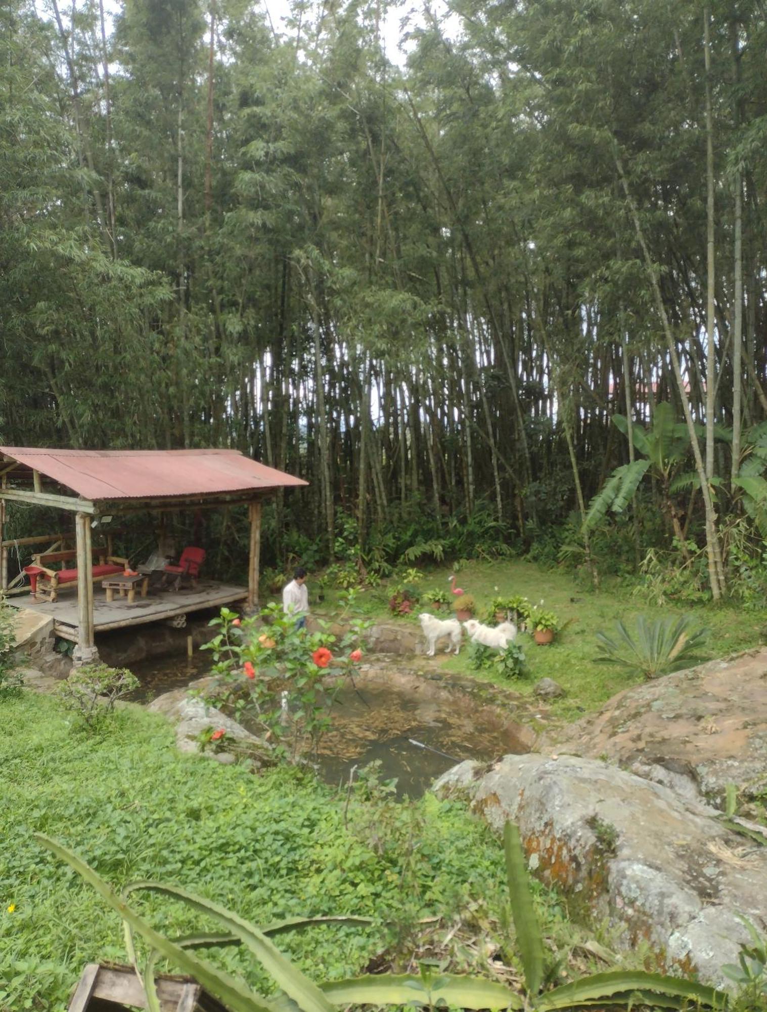 Finca Exclusividad Familiar O Grupo De Amigos Capacidad Hasta 12 Personas Calles En Placa Huella, Caminata Ecologica Alban  외부 사진