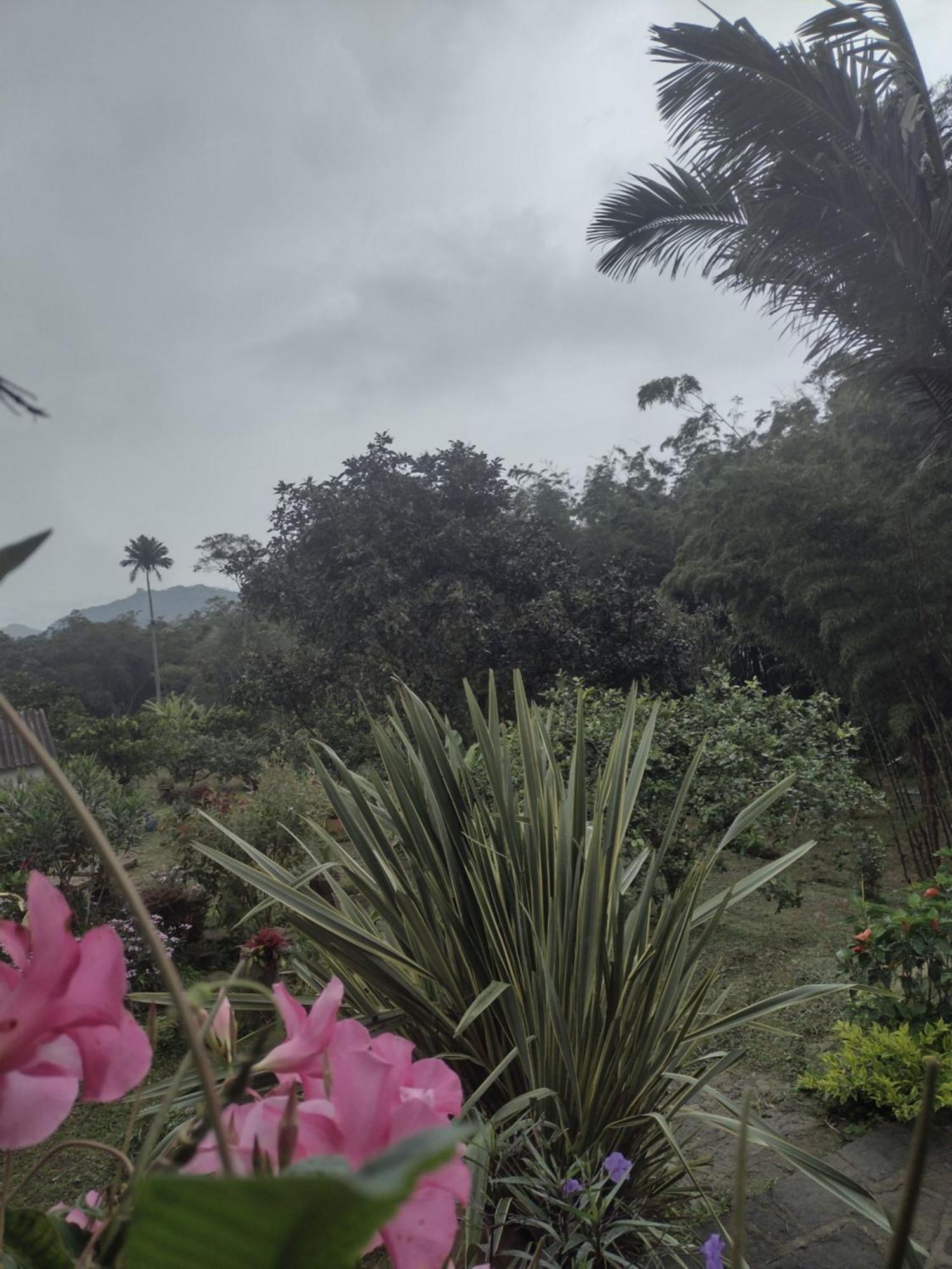 Finca Exclusividad Familiar O Grupo De Amigos Capacidad Hasta 12 Personas Calles En Placa Huella, Caminata Ecologica Alban  외부 사진